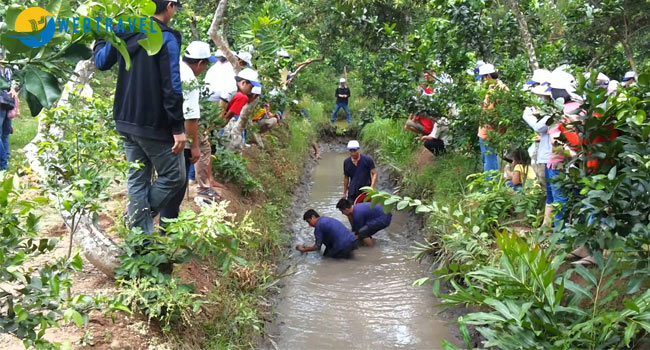 Phương án kinh doanh du lịch sinh thái