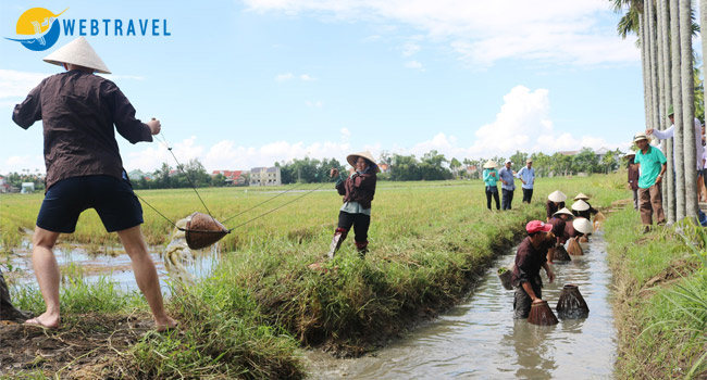 Phương án kinh doanh du lịch sinh thái nông nghiệp