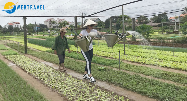 Phương án kinh doanh du lịch sinh thái